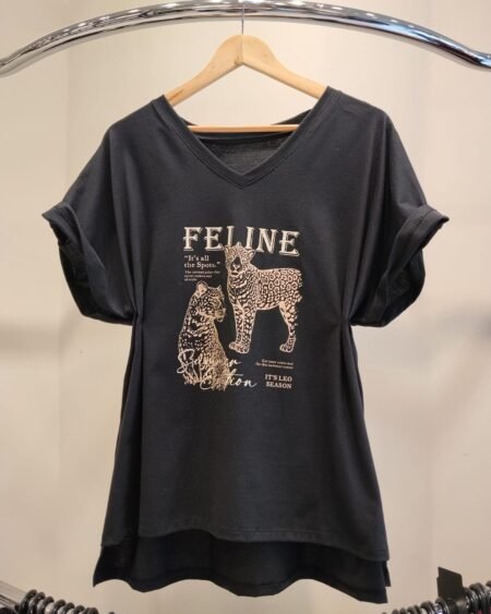 Remeron V Feline